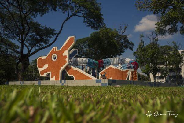 tpy-dragon-playground